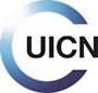 Organisation Logo